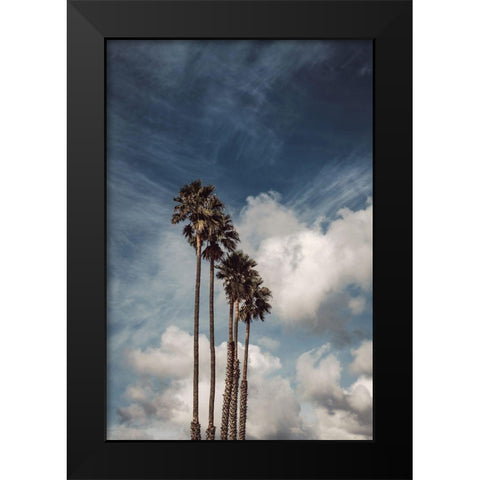Palms and Clouds Black Modern Wood Framed Art Print by Mossholder, Tim