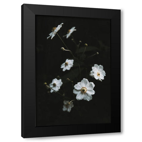White Flowers Black Modern Wood Framed Art Print by Mossholder, Tim