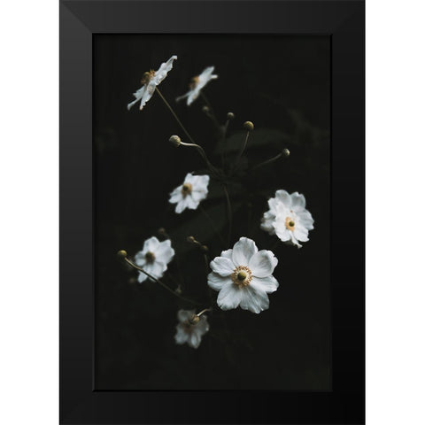 White Flowers Black Modern Wood Framed Art Print by Mossholder, Tim