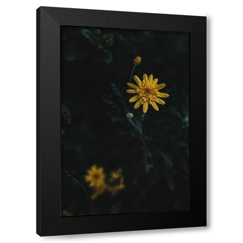 Yellow Flower Black Modern Wood Framed Art Print with Double Matting by Mossholder, Tim