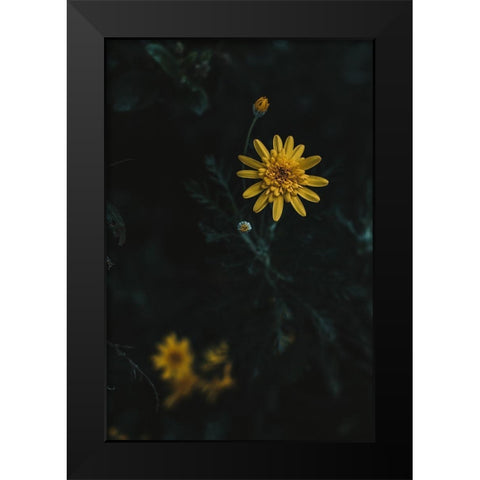 Yellow Flower Black Modern Wood Framed Art Print by Mossholder, Tim