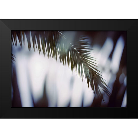 Palm Branches Black Modern Wood Framed Art Print by Mossholder, Tim
