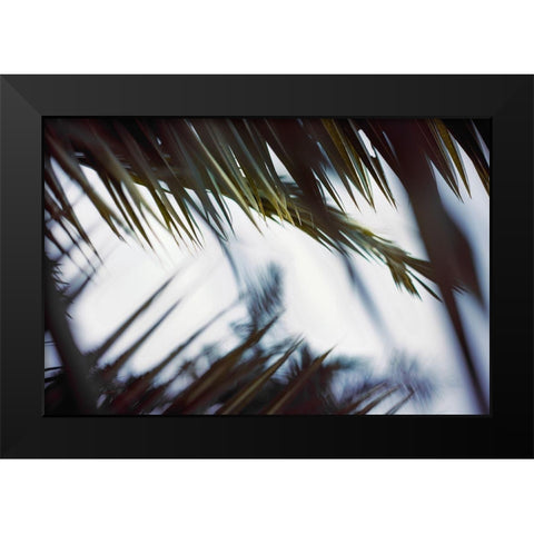 Palm Branches Black Modern Wood Framed Art Print by Mossholder, Tim