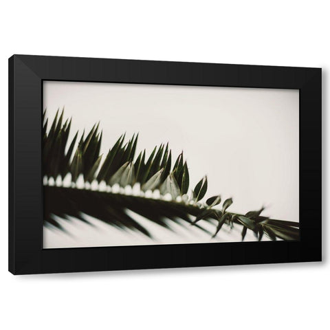 Palm Branches Black Modern Wood Framed Art Print by Mossholder, Tim