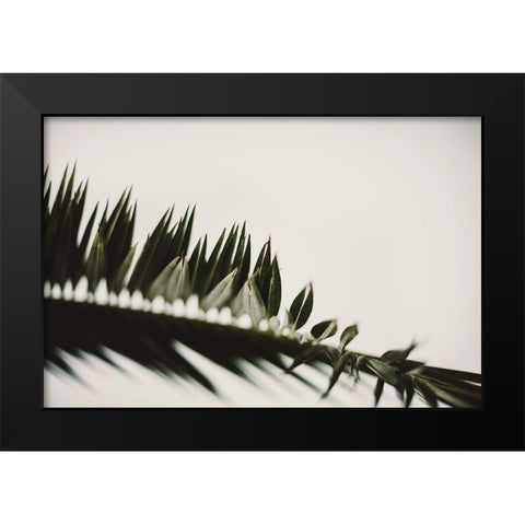 Palm Branches Black Modern Wood Framed Art Print by Mossholder, Tim