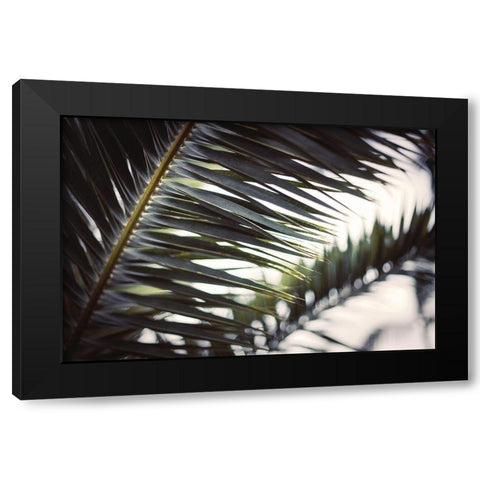 Palm Branches Black Modern Wood Framed Art Print by Mossholder, Tim