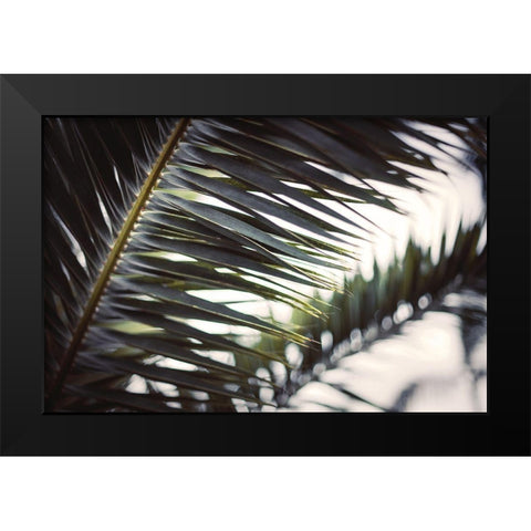 Palm Branches Black Modern Wood Framed Art Print by Mossholder, Tim