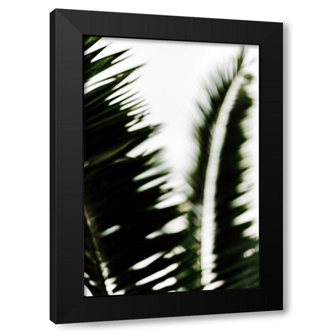 Palm Branches Black Modern Wood Framed Art Print by Mossholder, Tim