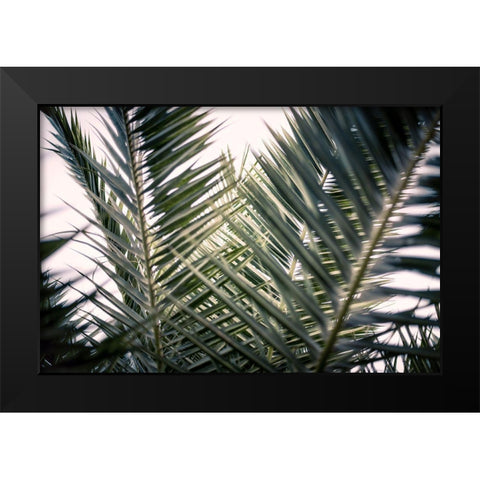 Palm Branches Black Modern Wood Framed Art Print by Mossholder, Tim