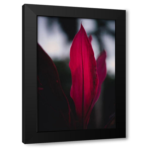 Red Plan at Dusk Black Modern Wood Framed Art Print with Double Matting by Mossholder, Tim