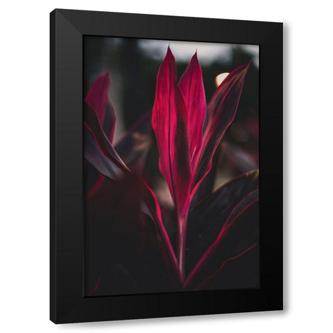 Red Plan at Dusk Black Modern Wood Framed Art Print by Mossholder, Tim