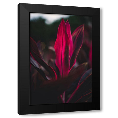 Red Plan at Dusk Black Modern Wood Framed Art Print by Mossholder, Tim