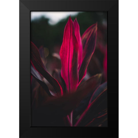 Red Plan at Dusk Black Modern Wood Framed Art Print by Mossholder, Tim