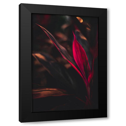 Red Plan at Dusk Black Modern Wood Framed Art Print by Mossholder, Tim
