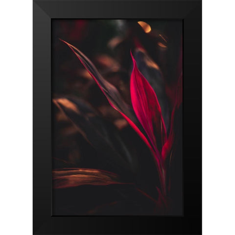 Red Plan at Dusk Black Modern Wood Framed Art Print by Mossholder, Tim