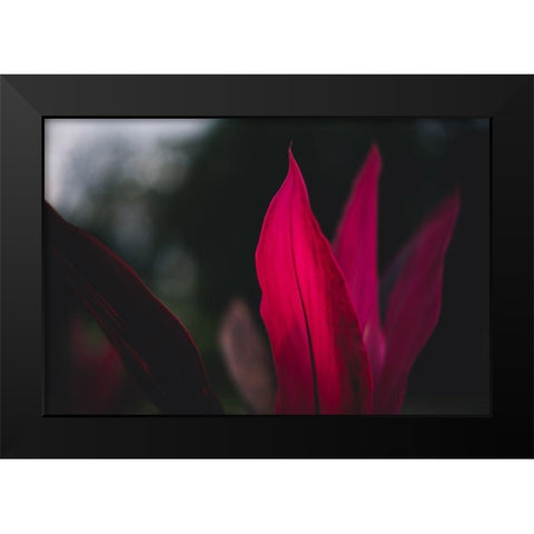 Red Plan at Dusk Black Modern Wood Framed Art Print by Mossholder, Tim