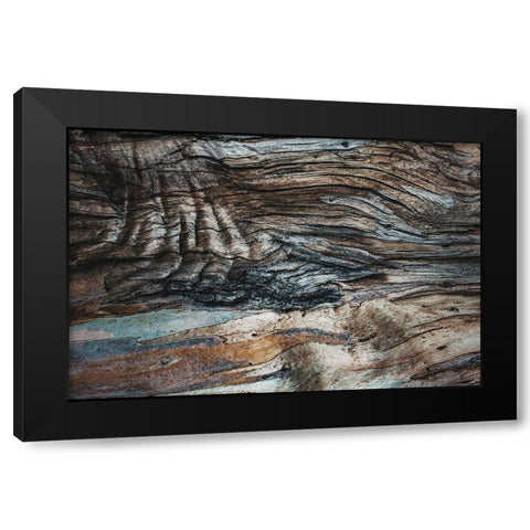 Eucalyptus Texture Black Modern Wood Framed Art Print with Double Matting by Mossholder, Tim