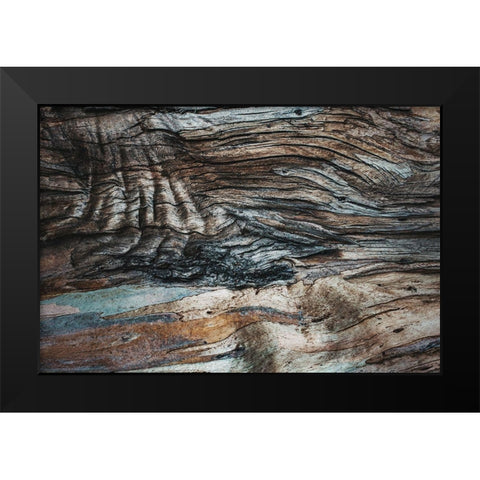 Eucalyptus Texture Black Modern Wood Framed Art Print by Mossholder, Tim