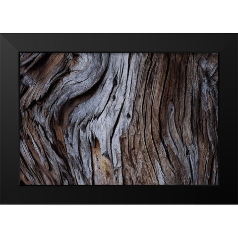 Eucalyptus Texture Black Modern Wood Framed Art Print by Mossholder, Tim