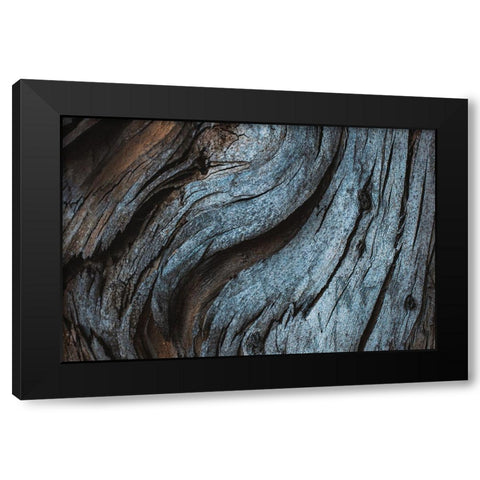 Eucalyptus Texture Black Modern Wood Framed Art Print by Mossholder, Tim