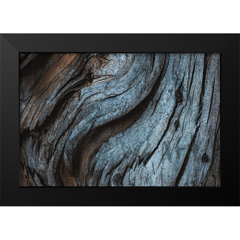 Eucalyptus Texture Black Modern Wood Framed Art Print by Mossholder, Tim