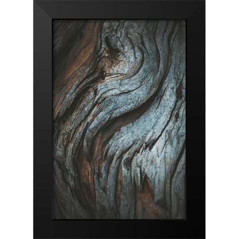 Eucalyptus Texture Black Modern Wood Framed Art Print by Mossholder, Tim