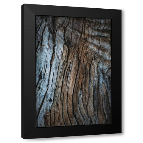 Eucalyptus Texture Black Modern Wood Framed Art Print by Mossholder, Tim
