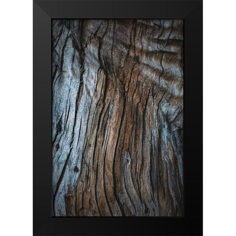 Eucalyptus Texture Black Modern Wood Framed Art Print by Mossholder, Tim