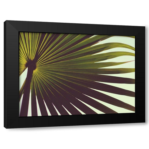 Untitled Black Modern Wood Framed Art Print by Mossholder, Tim