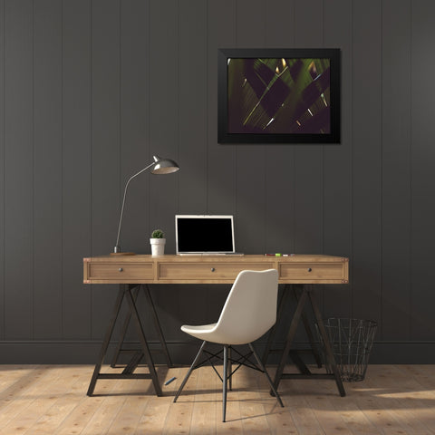 Palm Textures Black Modern Wood Framed Art Print by Mossholder, Tim