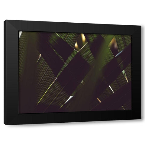 Palm Textures Black Modern Wood Framed Art Print with Double Matting by Mossholder, Tim
