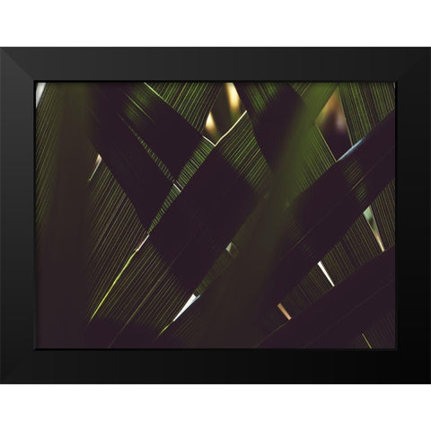 Palm Textures Black Modern Wood Framed Art Print by Mossholder, Tim
