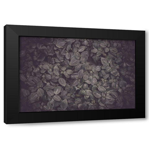 Flora Blanket Black Modern Wood Framed Art Print by Mossholder, Tim