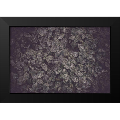 Flora Blanket Black Modern Wood Framed Art Print by Mossholder, Tim