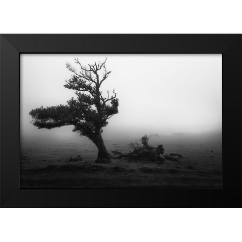 Fanal #2 Black Modern Wood Framed Art Print by Moravek, Martin