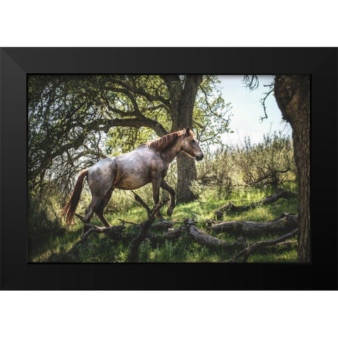 Hillside Horse Black Modern Wood Framed Art Print by Mossholder, Tim