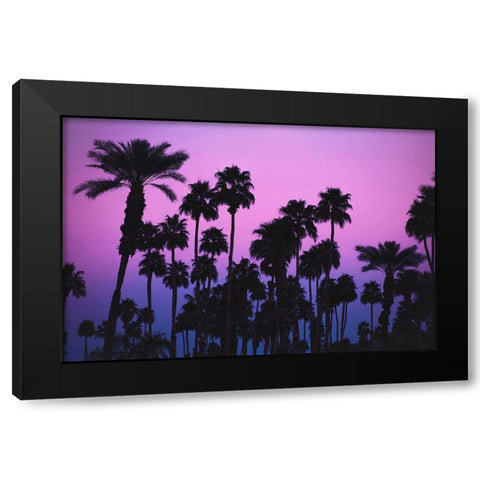 Palms with Pink Sky Black Modern Wood Framed Art Print by Mossholder, Tim
