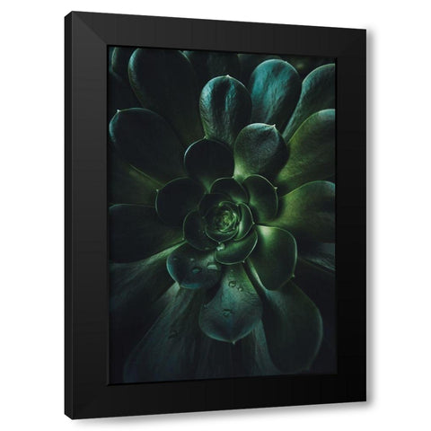 Succulent Black Modern Wood Framed Art Print by Mossholder, Tim