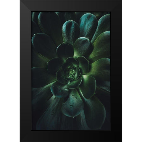 Succulent Black Modern Wood Framed Art Print by Mossholder, Tim