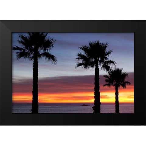 Palms at Sunset Black Modern Wood Framed Art Print by Mossholder, Tim