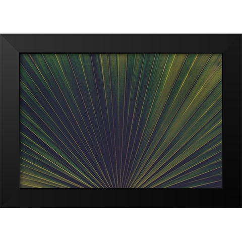 Palm Textures Black Modern Wood Framed Art Print by Mossholder, Tim