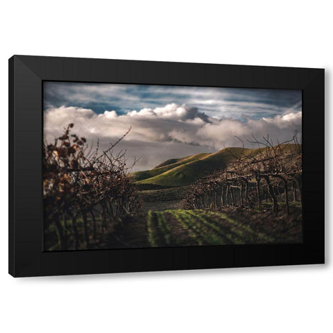 Dark Vineyards Black Modern Wood Framed Art Print by Mossholder, Tim