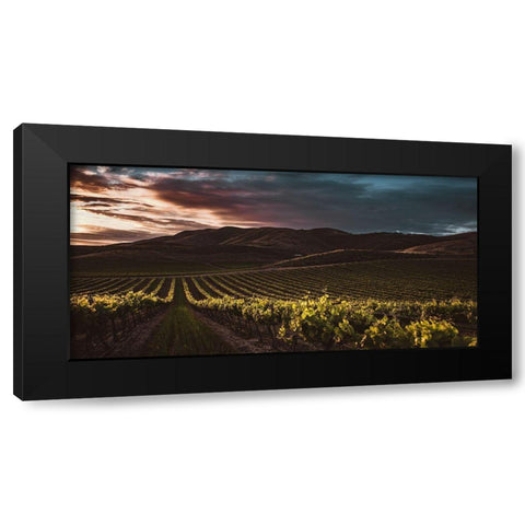 Vineyards Black Modern Wood Framed Art Print with Double Matting by Mossholder, Tim