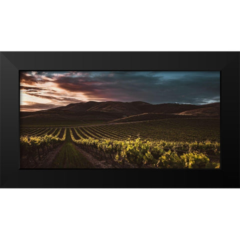 Vineyards Black Modern Wood Framed Art Print by Mossholder, Tim