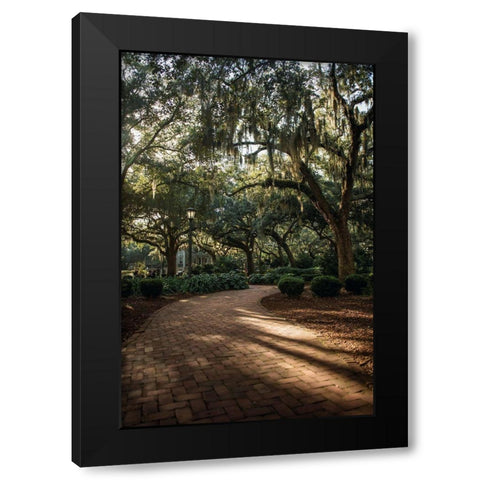 Oaks in Savannah Black Modern Wood Framed Art Print by Mossholder, Tim