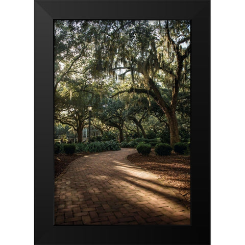 Oaks in Savannah Black Modern Wood Framed Art Print by Mossholder, Tim