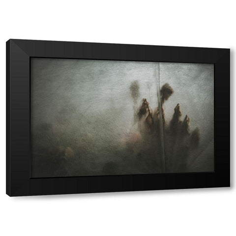 Protected Plants Black Modern Wood Framed Art Print by Mossholder, Tim