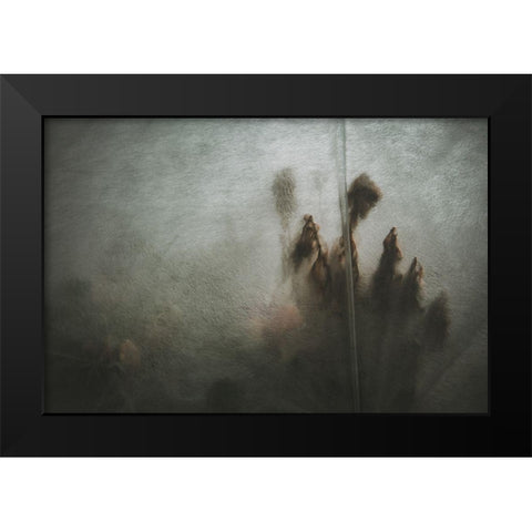 Protected Plants Black Modern Wood Framed Art Print by Mossholder, Tim