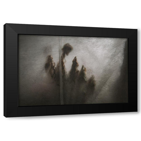 Protected Plants Black Modern Wood Framed Art Print by Mossholder, Tim