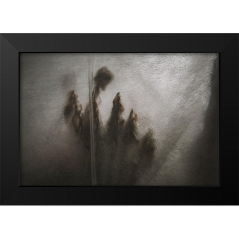 Protected Plants Black Modern Wood Framed Art Print by Mossholder, Tim